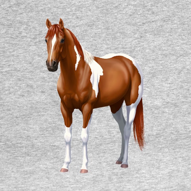 Beautiful Chestnut Pinto Sorrel Paint Quarter Horse Stallion by csforest